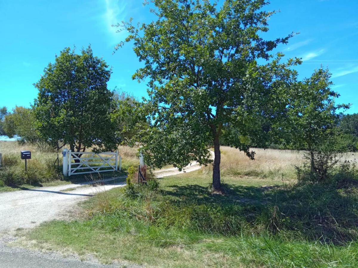 Ferme Ahoco Chambre D'Hotes Residence D'Artistes Lavit 外观 照片